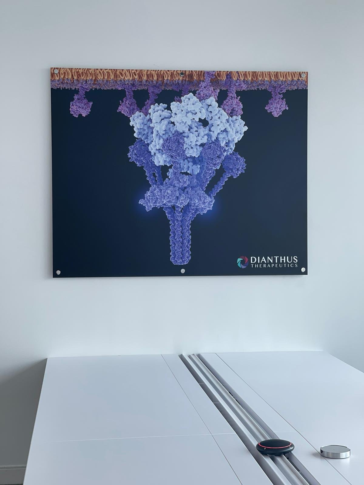 A poster of flowers hanging on the wall